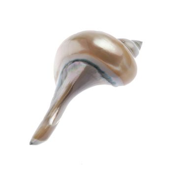 Lot de 6 repose-couteaux COQUILLAGE nacre - 9,5cm